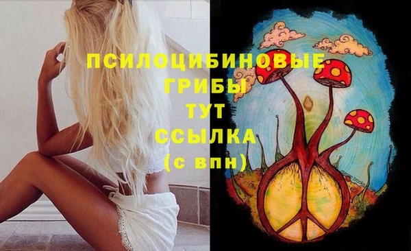 молекула духа Аркадак