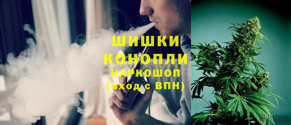молекула духа Аркадак