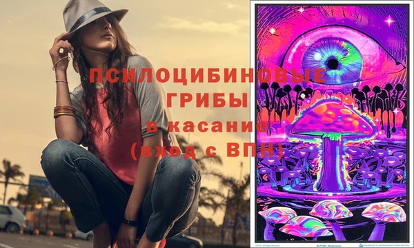 ешки Арсеньев