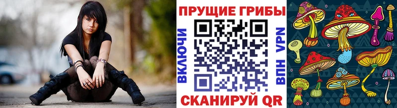 Псилоцибиновые грибы Cubensis  купить   Ирбит 